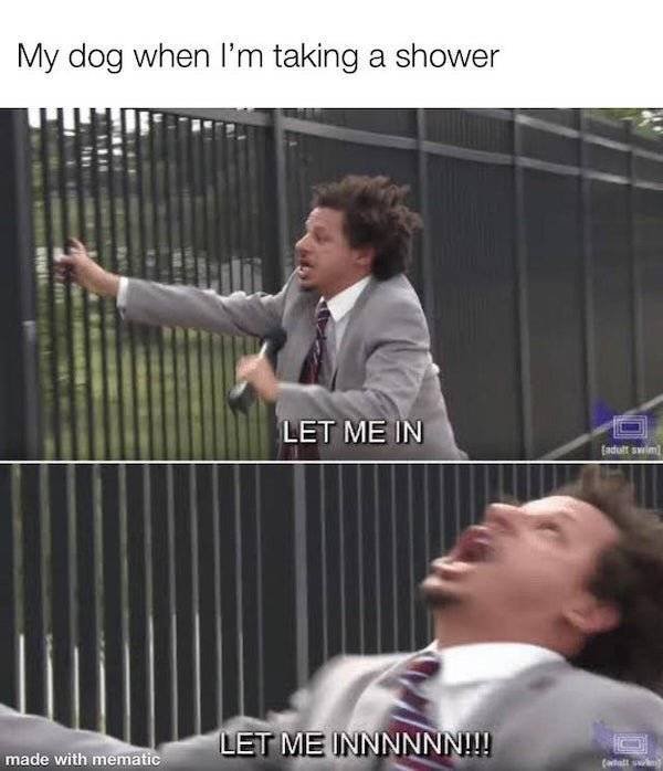 Dog Memes (27 pics)