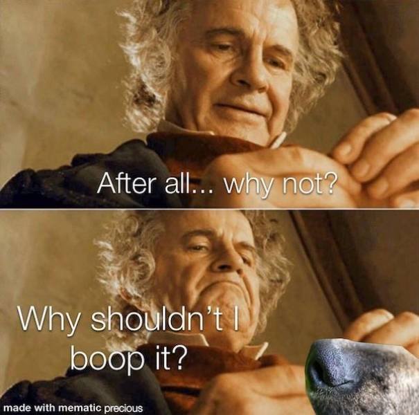 Dog Memes (27 pics)
