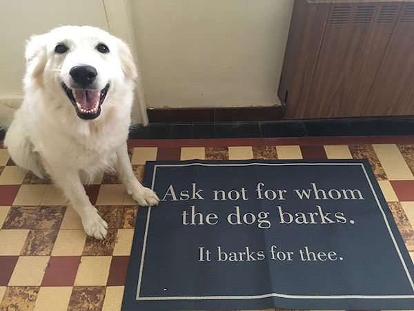 Funny Doormats (32 pics)