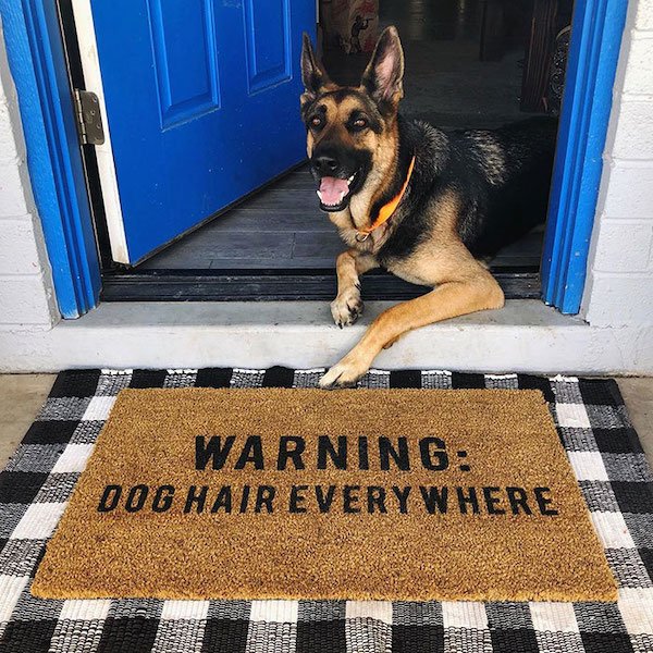 Funny Doormats (32 pics)