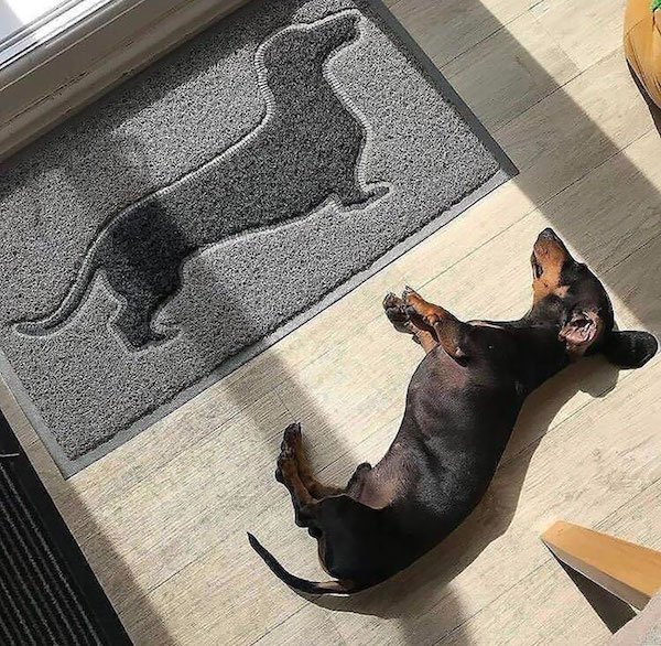 Funny Doormats (32 pics)