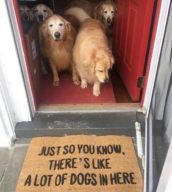Funny Doormats (32 pics)