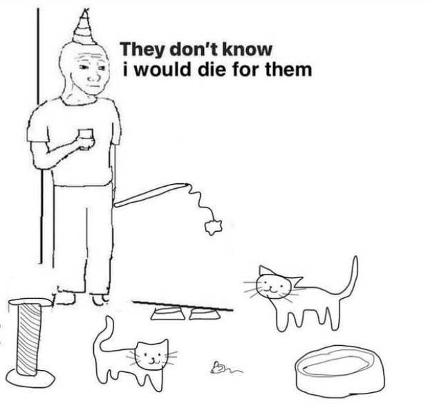 Wholesome Memes (39 pics)
