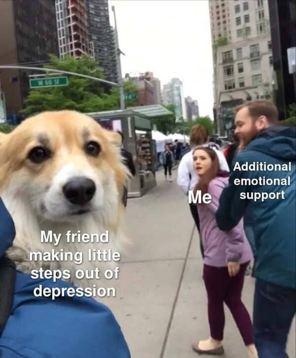 Wholesome Memes (39 pics)