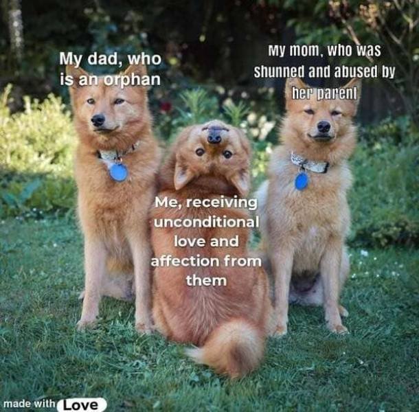 Wholesome Memes (39 pics)