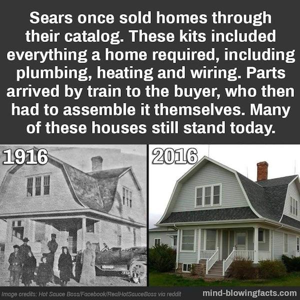 This Is Amazing (24 pics)