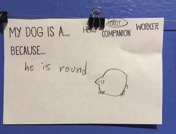 OMG Pictures (30 pics)