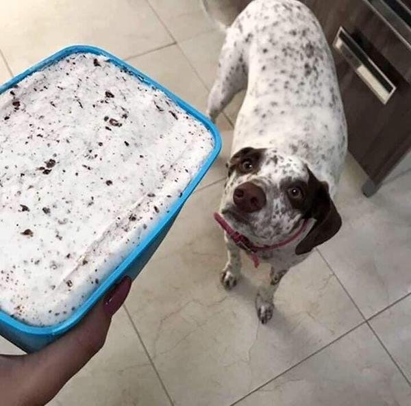 OMG Pictures (30 pics)