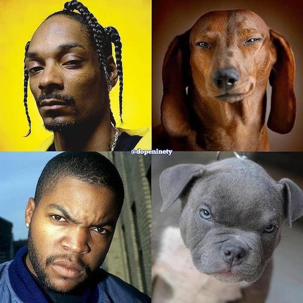 OMG Pictures (30 pics)
