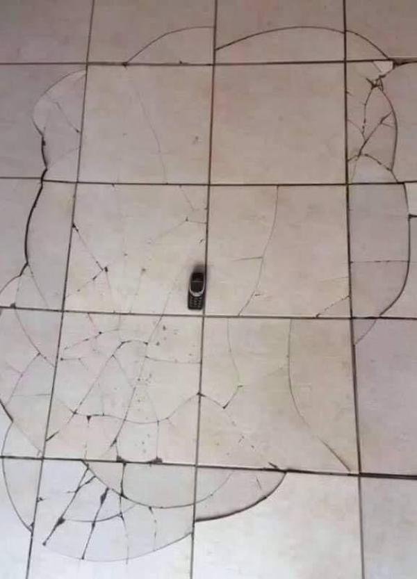 OMG Pictures (30 pics)