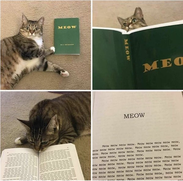 OMG Pictures (30 pics)
