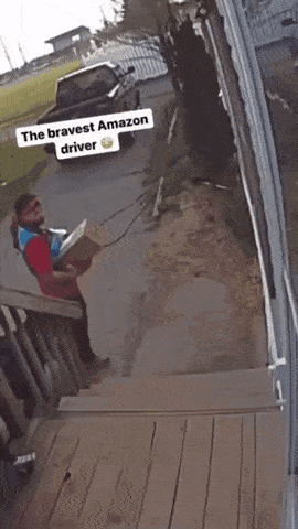 Acid Gifdump, April 29 (25 gifs)