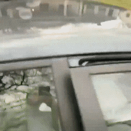 Acid Gifdump, April 30 (25 gifs)