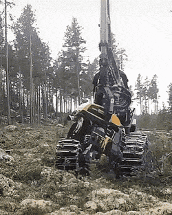 Acid Gifdump, April 30 (25 gifs)