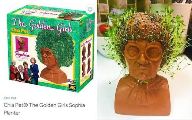 Expectations Vs. Reality (39 pics)