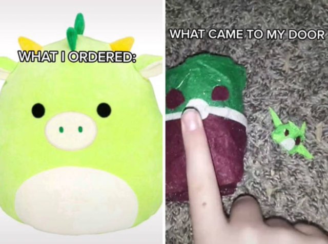 Expectations Vs. Reality (39 pics)
