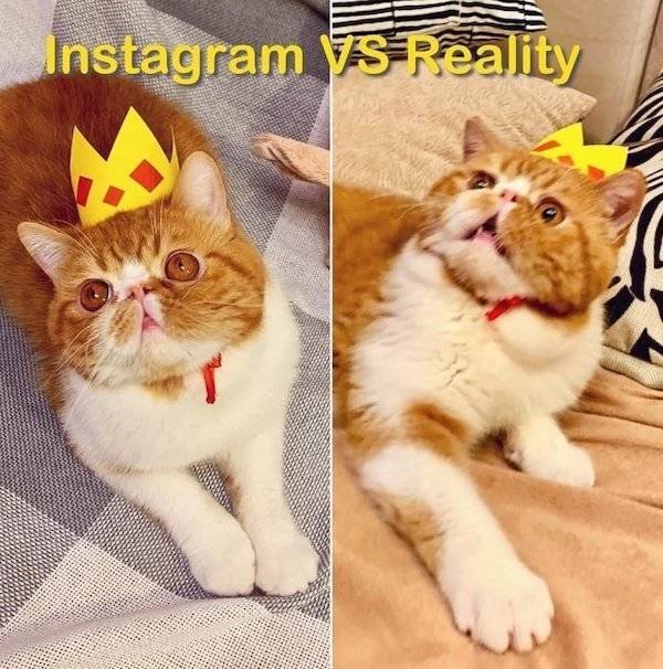 Expectations Vs. Reality (39 pics)