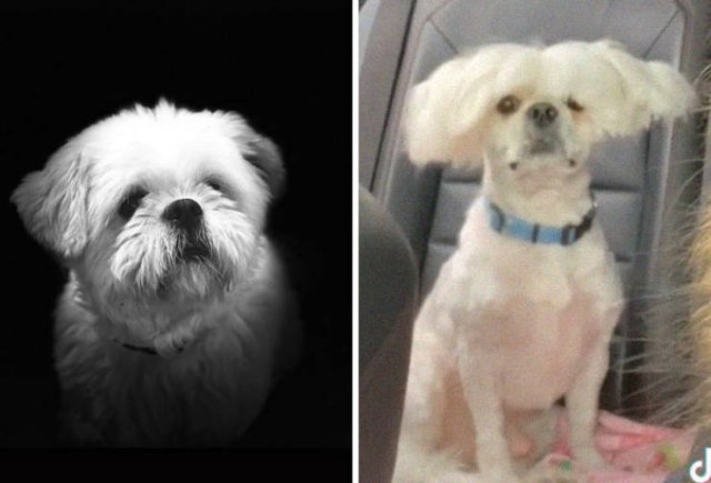 Expectations Vs. Reality (39 pics)