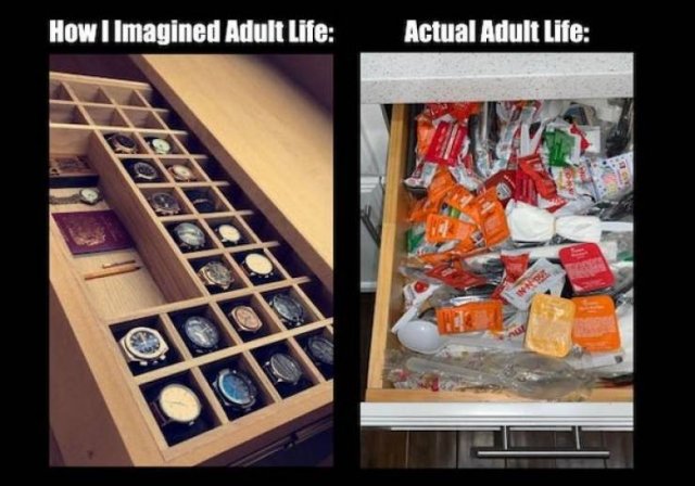 Expectations Vs. Reality (39 pics)
