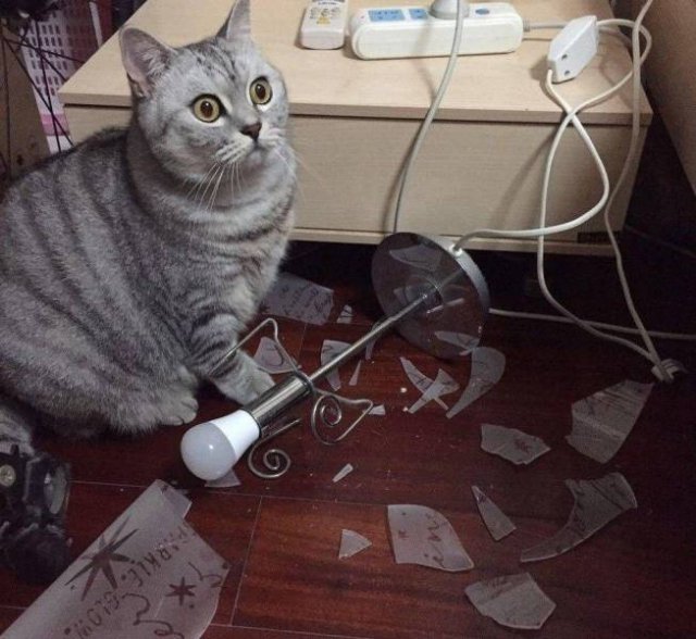 Acid Picdump 1 (80 pics)