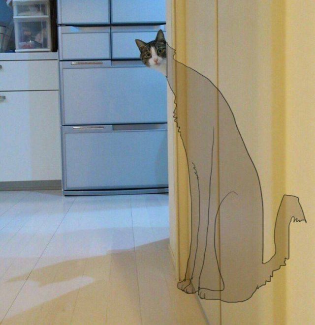 Acid Picdump 1 (80 pics)