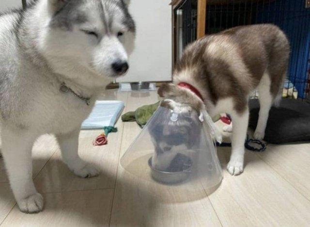 Acid Picdump 1 (80 pics)