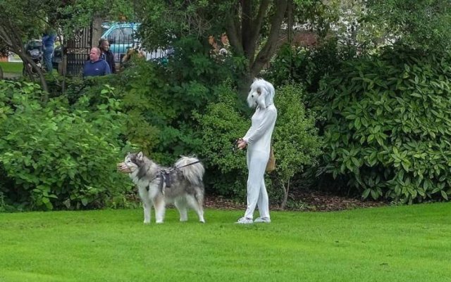 Acid Picdump 1 (80 pics)