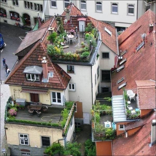 Acid Picdump 1 (80 pics)