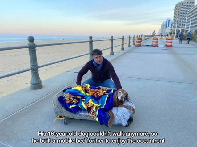 Acid Picdump 1 (80 pics)