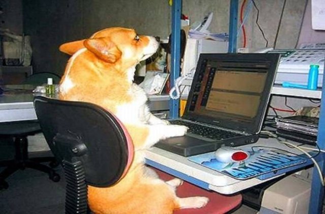 Acid Picdump 1 (80 pics)