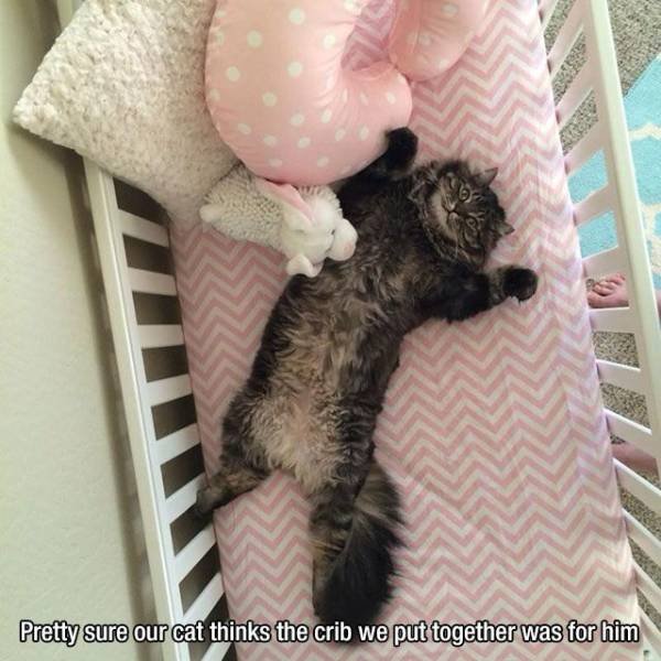 Acid Picdump 1 (80 pics)