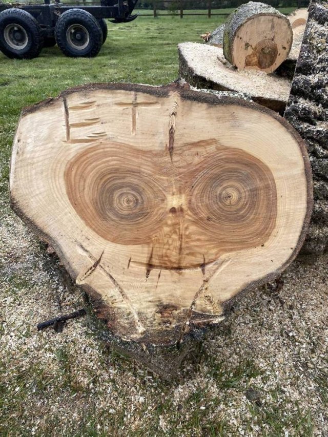 Acid Picdump 1 (80 pics)