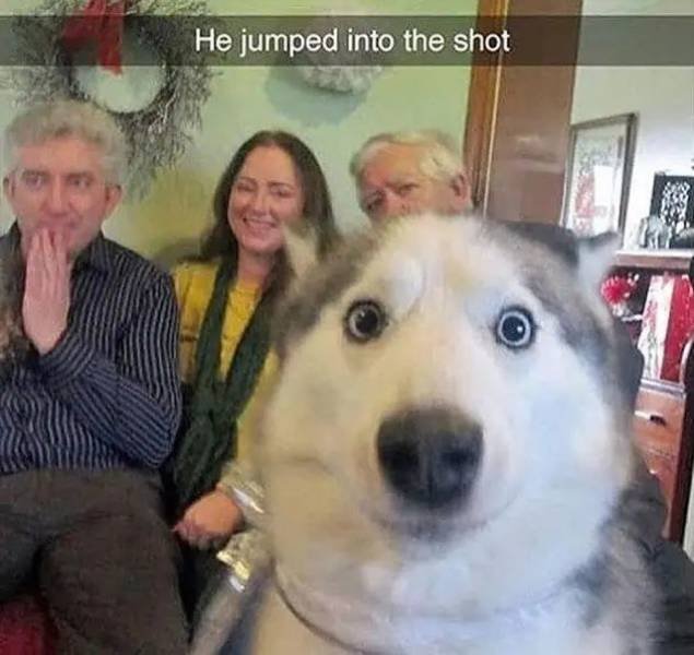 Acid Picdump 1 (80 pics)