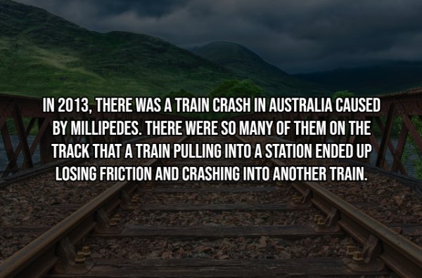 Interesting Data (22 pics)