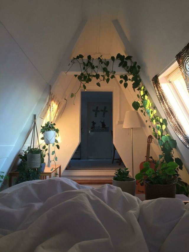 People Show Their Cozy Places (40 pics) People Show Their Cozy Places (40 pics)