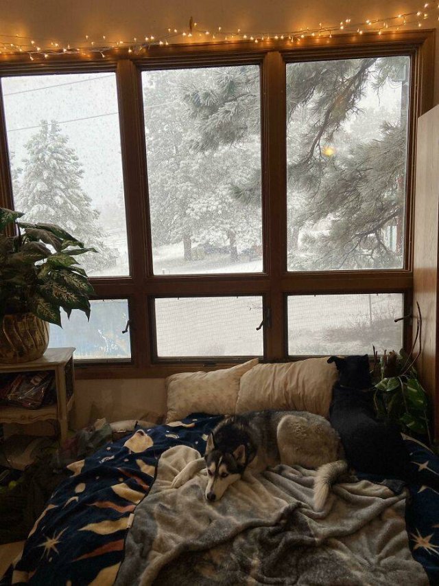 People Show Their Cozy Places (40 pics) People Show Their Cozy Places (40 pics)