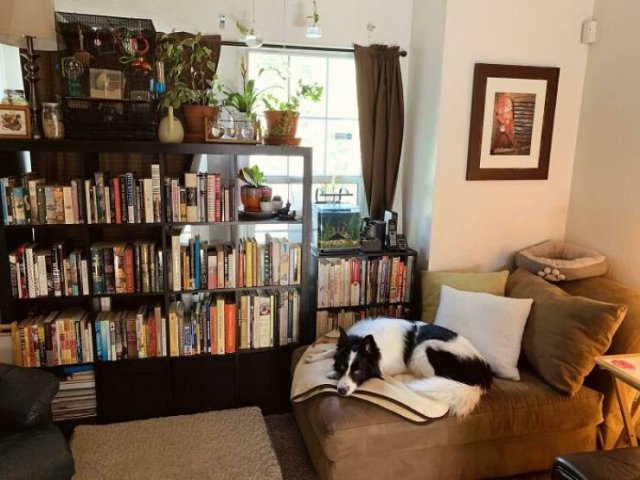 People Show Their Cozy Places (40 pics) People Show Their Cozy Places (40 pics)