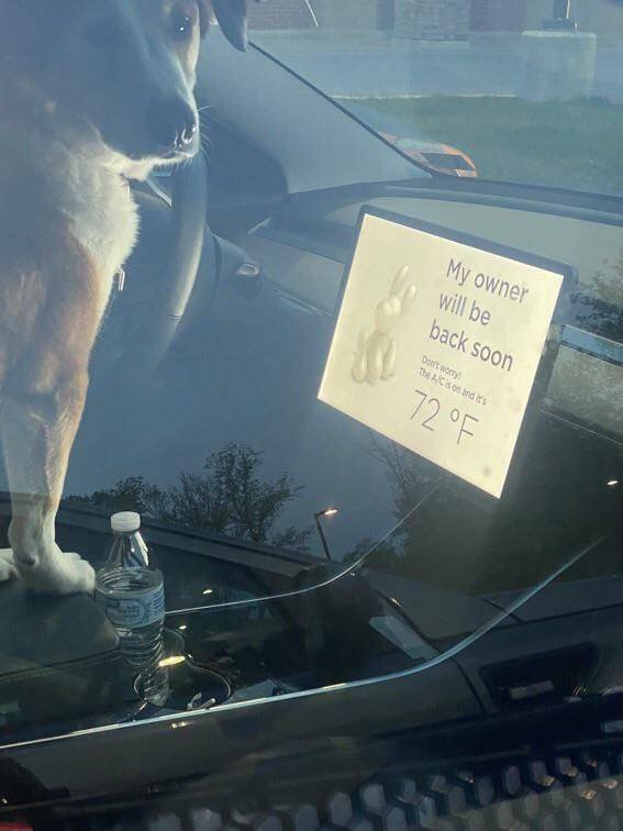 Acid Picdump 1 (96 pics)