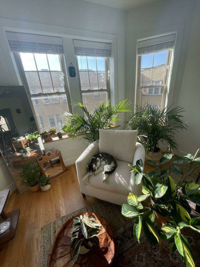 People Show Their Cozy Places (40 pics) People Show Their Cozy Places (40 pics)