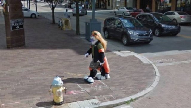 'Google Street View' Photos (47 pics)