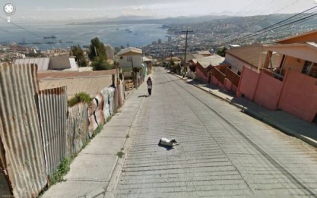 'Google Street View' Photos (47 pics)