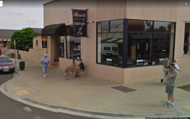 'Google Street View' Photos (47 pics)