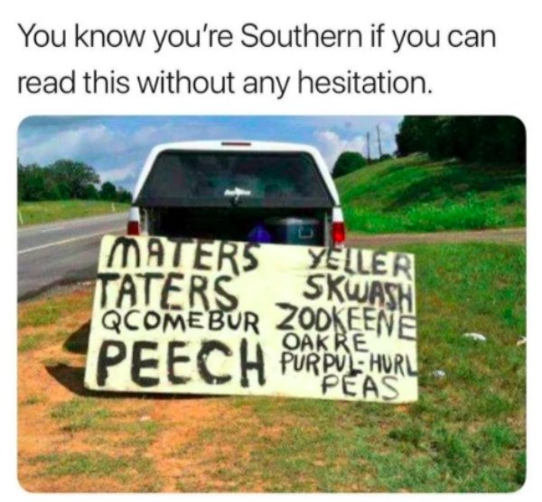 South Memes (28 pics)