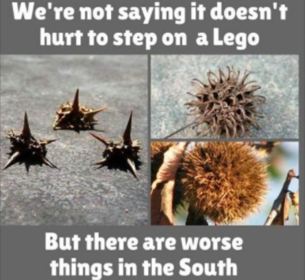 South Memes (28 pics)