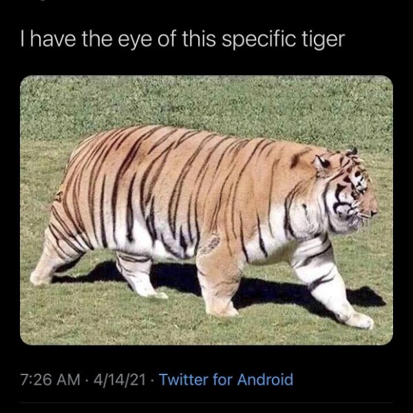 Random Funny Memes (27 pics)