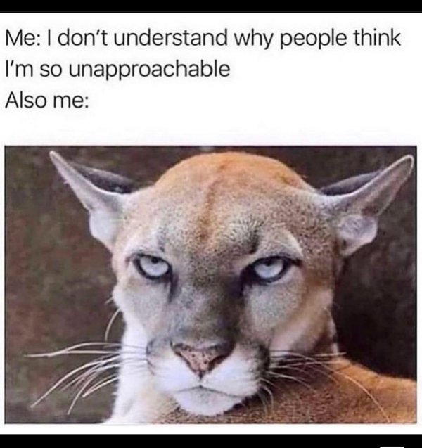 Random Funny Memes (27 pics)