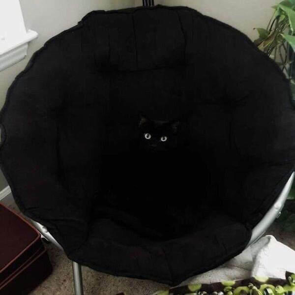 Perfection Is Possible (29 pics)