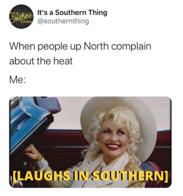 South Memes (28 pics)