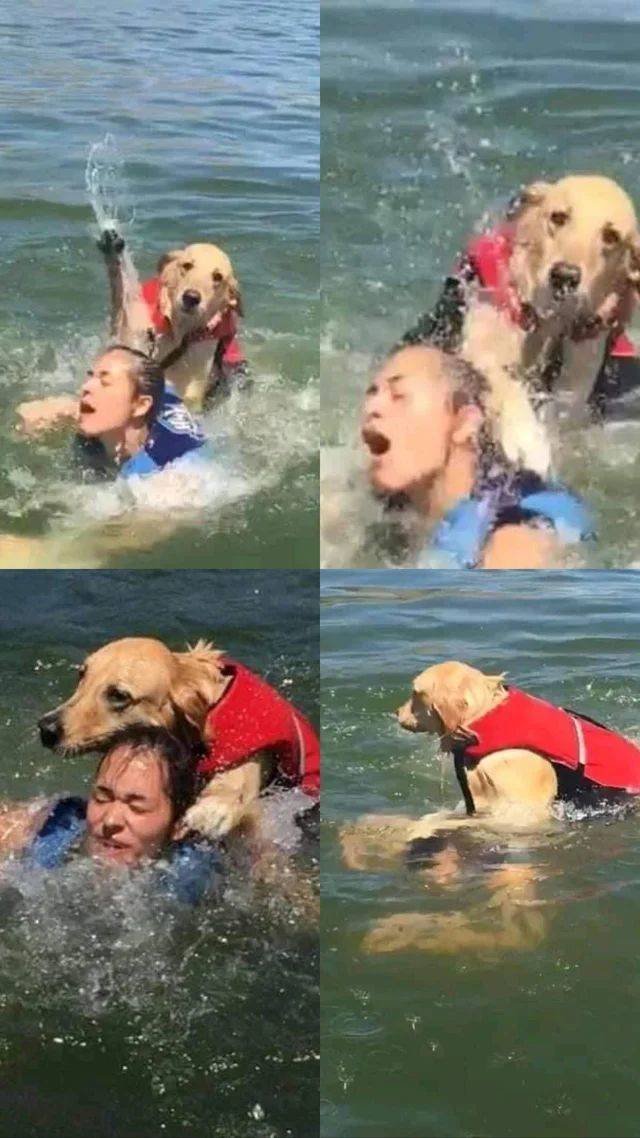Acid Picdump 1 (96 pics)