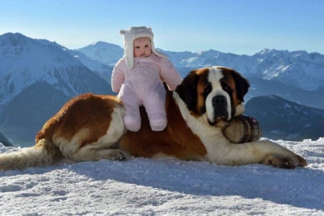 Acid Picdump 1 (96 pics)